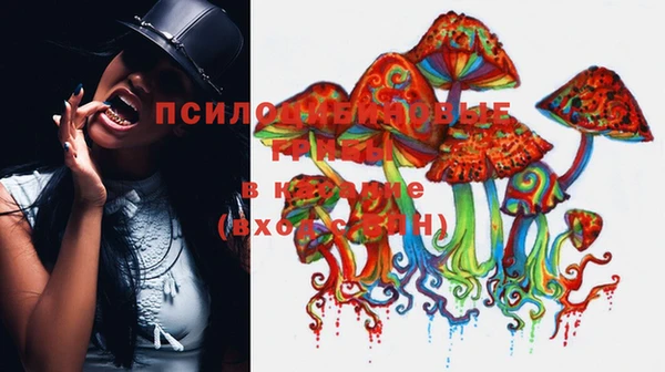 гашишное масло Гусь-Хрустальный