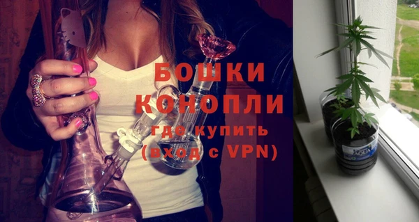 СК Гусев